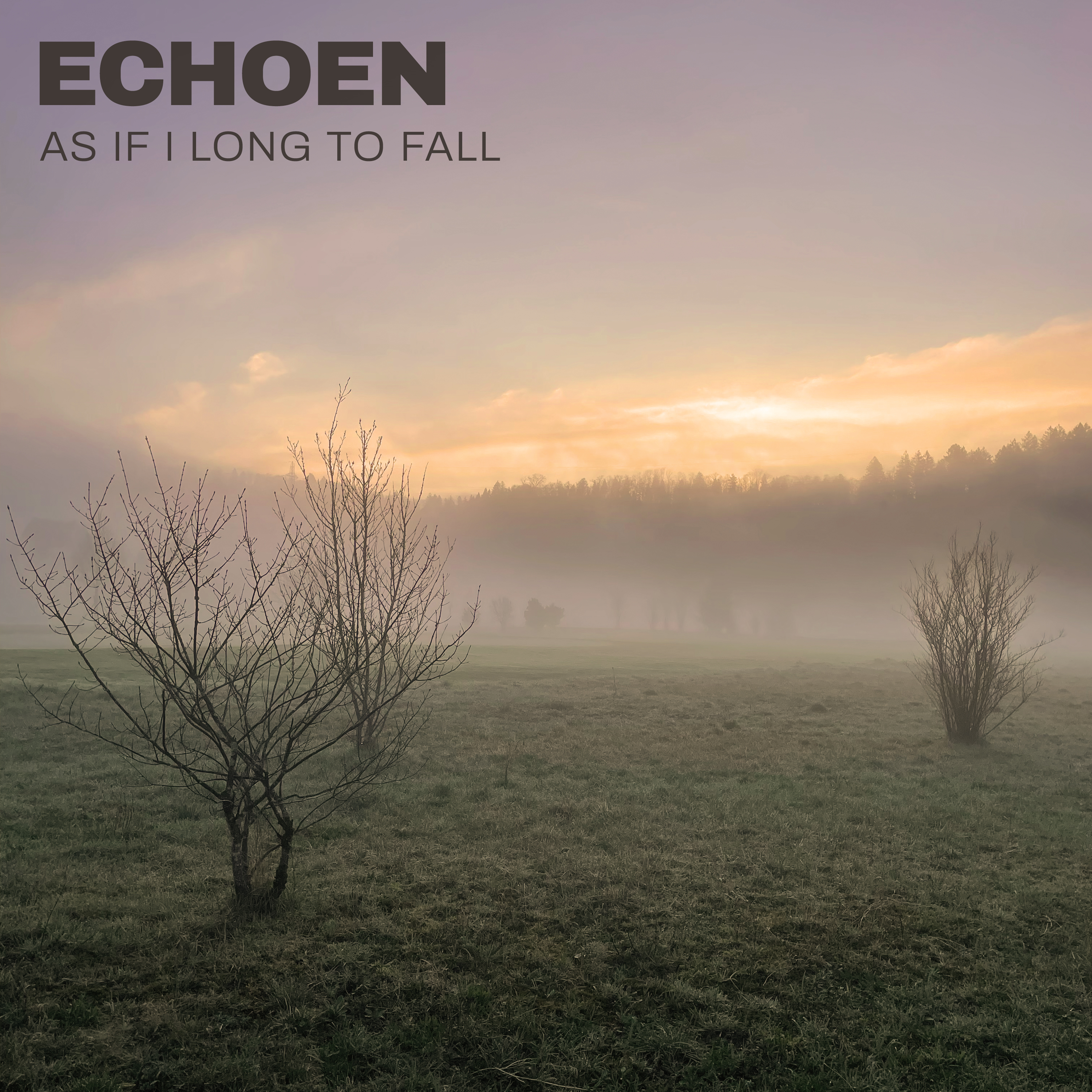 Cover art for the Echoen single "As if I long to fall".